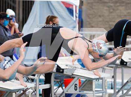 Thumbnail 1 in AIA D2 Swim Finals photogallery.