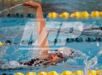 Thumbnail 3 in AIA D2 Swim Finals photogallery.