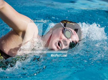 Thumbnail 2 in AIA D2 Swim Finals photogallery.