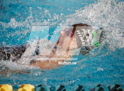 Thumbnail 2 in AIA D2 Swim Finals photogallery.