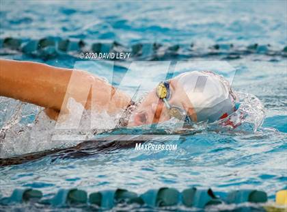 Thumbnail 2 in AIA D2 Swim Finals photogallery.