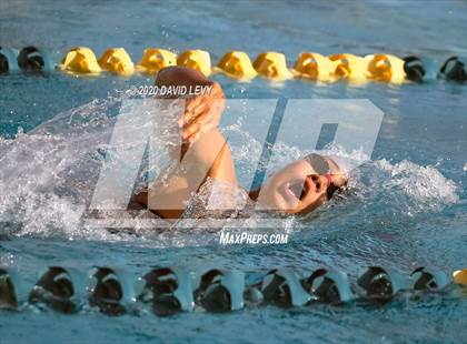 Thumbnail 1 in AIA D2 Swim Finals photogallery.