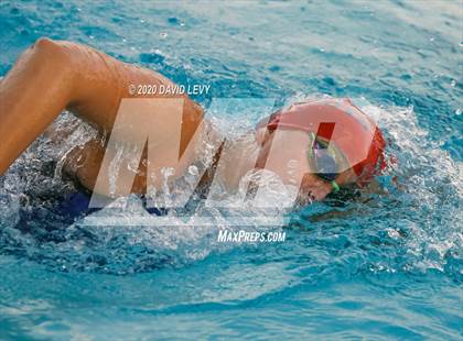 Thumbnail 3 in AIA D2 Swim Finals photogallery.