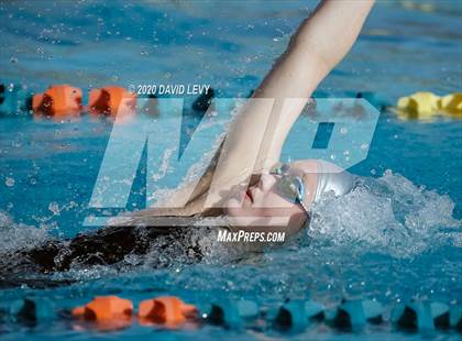 Thumbnail 2 in AIA D2 Swim Finals photogallery.