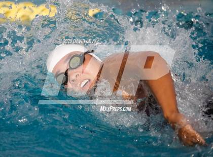 Thumbnail 3 in AIA D2 Swim Finals photogallery.