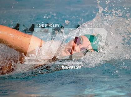 Thumbnail 3 in AIA D2 Swim Finals photogallery.