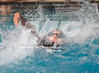 Thumbnail 3 in AIA D2 Swim Finals photogallery.