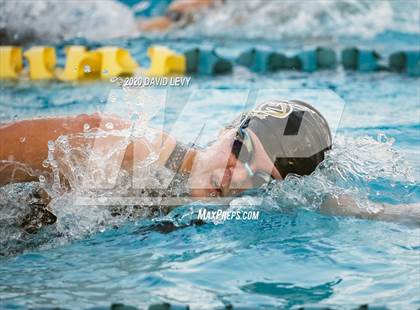 Thumbnail 3 in AIA D2 Swim Finals photogallery.
