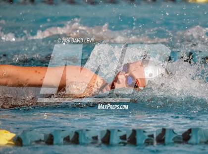 Thumbnail 2 in AIA D2 Swim Finals photogallery.