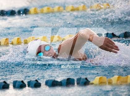 Thumbnail 1 in AIA D2 Swim Finals photogallery.