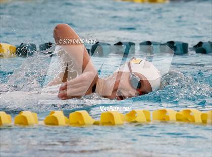Thumbnail 2 in AIA D2 Swim Finals photogallery.