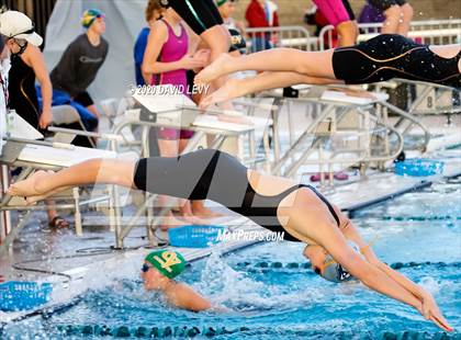 Thumbnail 1 in AIA D2 Swim Finals photogallery.