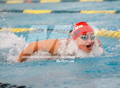 Thumbnail 1 in AIA D2 Swim Finals photogallery.