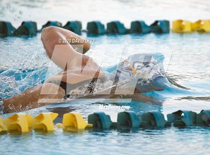Thumbnail 3 in AIA D2 Swim Finals photogallery.