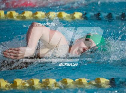 Thumbnail 1 in AIA D2 Swim Finals photogallery.