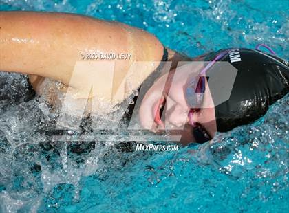 Thumbnail 1 in AIA D2 Swim Finals photogallery.