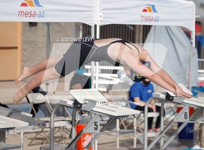 Thumbnail 2 in AIA D2 Swim Finals photogallery.