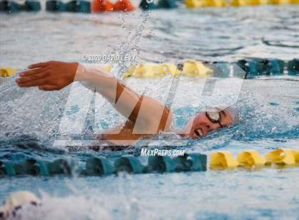 Thumbnail 2 in AIA D2 Swim Finals photogallery.