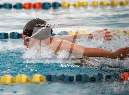 Thumbnail 3 in AIA D2 Swim Finals photogallery.