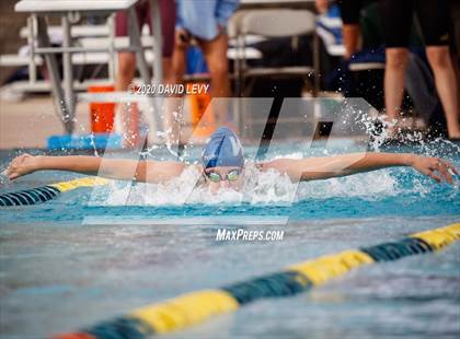 Thumbnail 1 in AIA D2 Swim Finals photogallery.
