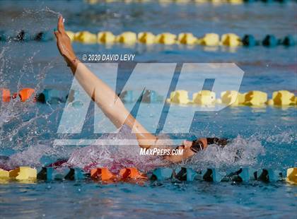 Thumbnail 3 in AIA D2 Swim Finals photogallery.