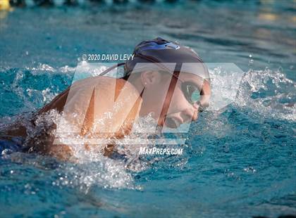 Thumbnail 2 in AIA D2 Swim Finals photogallery.