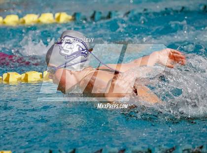 Thumbnail 2 in AIA D2 Swim Finals photogallery.