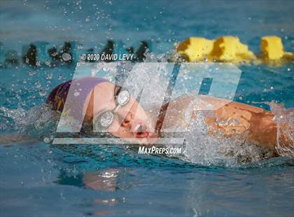 Thumbnail 1 in AIA D2 Swim Finals photogallery.