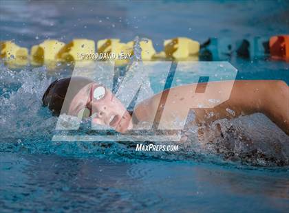 Thumbnail 3 in AIA D2 Swim Finals photogallery.