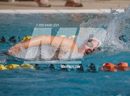 Thumbnail 1 in AIA D2 Swim Finals photogallery.