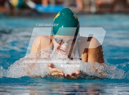 Thumbnail 1 in AIA D2 Swim Finals photogallery.