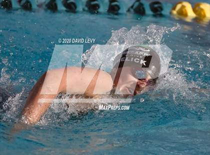 Thumbnail 3 in AIA D2 Swim Finals photogallery.