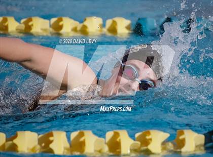 Thumbnail 1 in AIA D2 Swim Finals photogallery.