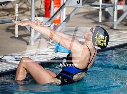Thumbnail 1 in AIA D2 Swim Finals photogallery.