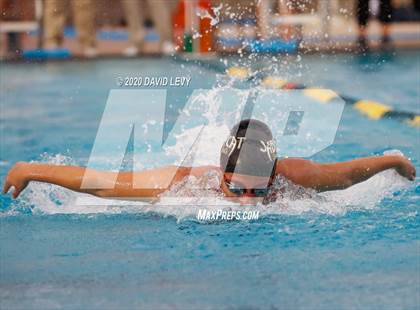 Thumbnail 3 in AIA D2 Swim Finals photogallery.