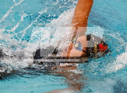 Thumbnail 1 in AIA D2 Swim Finals photogallery.