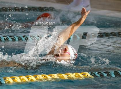 Thumbnail 2 in AIA D2 Swim Finals photogallery.