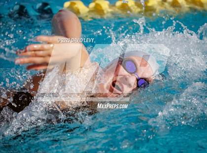 Thumbnail 1 in AIA D2 Swim Finals photogallery.