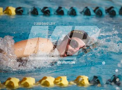 Thumbnail 2 in AIA D2 Swim Finals photogallery.