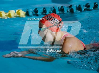 Thumbnail 2 in AIA D2 Swim Finals photogallery.
