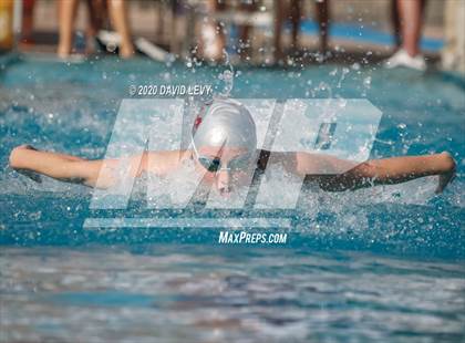 Thumbnail 2 in AIA D2 Swim Finals photogallery.