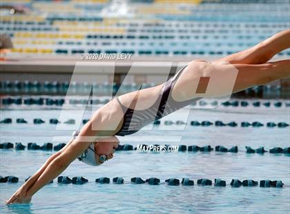 Thumbnail 2 in AIA D2 Swim Finals photogallery.