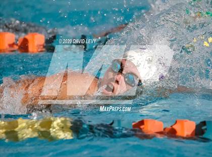 Thumbnail 2 in AIA D2 Swim Finals photogallery.