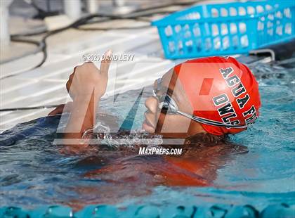 Thumbnail 3 in AIA D2 Swim Finals photogallery.