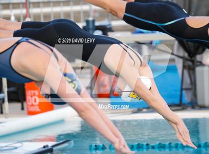Thumbnail 2 in AIA D2 Swim Finals photogallery.