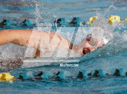 Thumbnail 3 in AIA D2 Swim Finals photogallery.