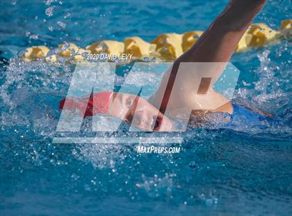 Thumbnail 2 in AIA D2 Swim Finals photogallery.
