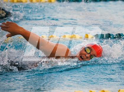 Thumbnail 3 in AIA D2 Swim Finals photogallery.