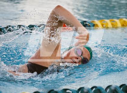 Thumbnail 1 in AIA D2 Swim Finals photogallery.