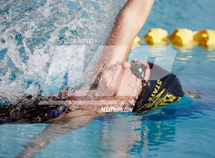 Thumbnail 3 in AIA D2 Swim Finals photogallery.